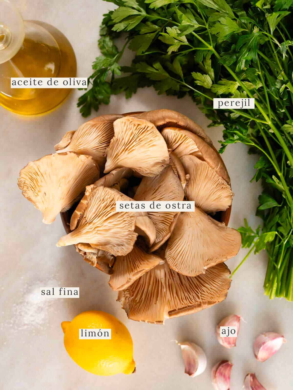 ingredientes para preparar setas ostra al ajillo.