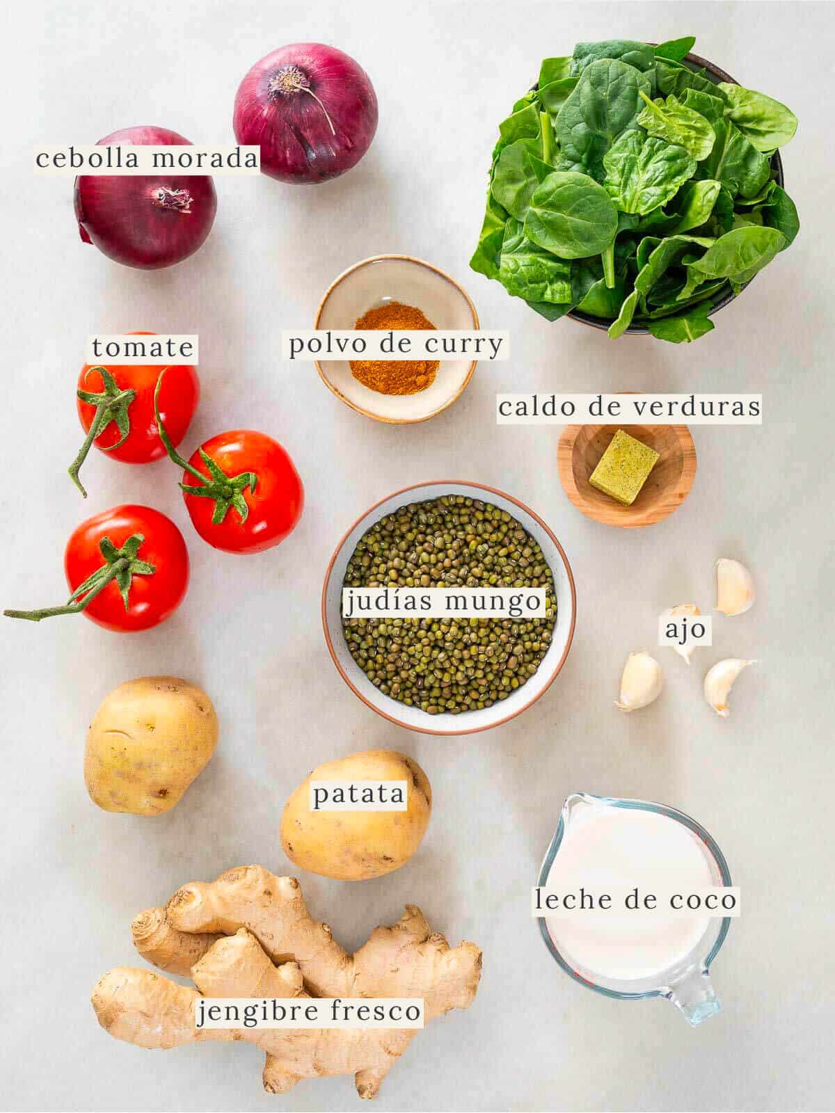 ingredientes para preparar la sopa de judía mungo.