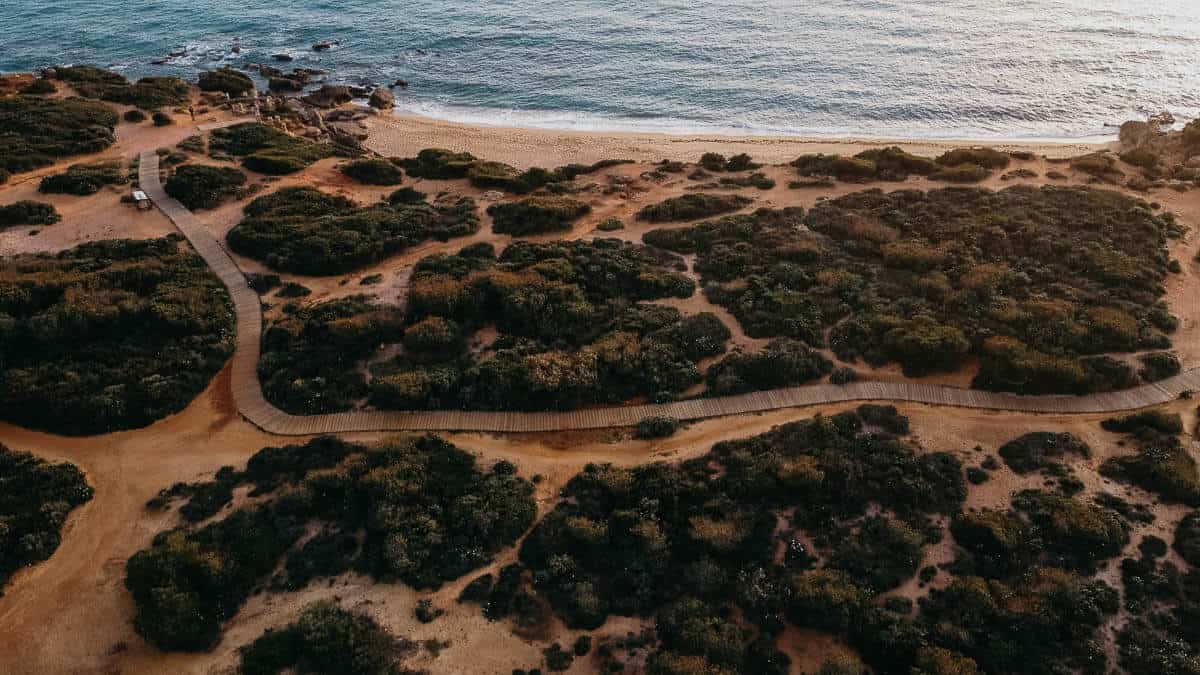 Vista aérea de Calas de Roche, mostrando una playa aislada rodeada de vegetación exuberante y dramáticos acantilados rocosos. Un paseo serpenteante conduce a las aguas cristalinas de color turquesa, donde las rocas dispersas crean piscinas naturales y formaciones interesantes.