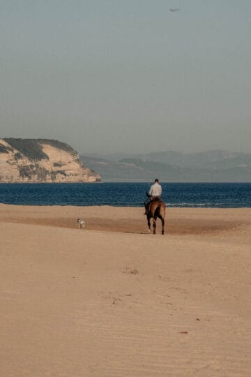 Una persona montando a caballo por la orilla de la Playa Faro de Trafalgar, acompañada por un perro. La extensa playa y los acantilados distantes crean un entorno pacífico y pintoresco, perfecto para apreciar las vistas al atardecer y el significado histórico del área.