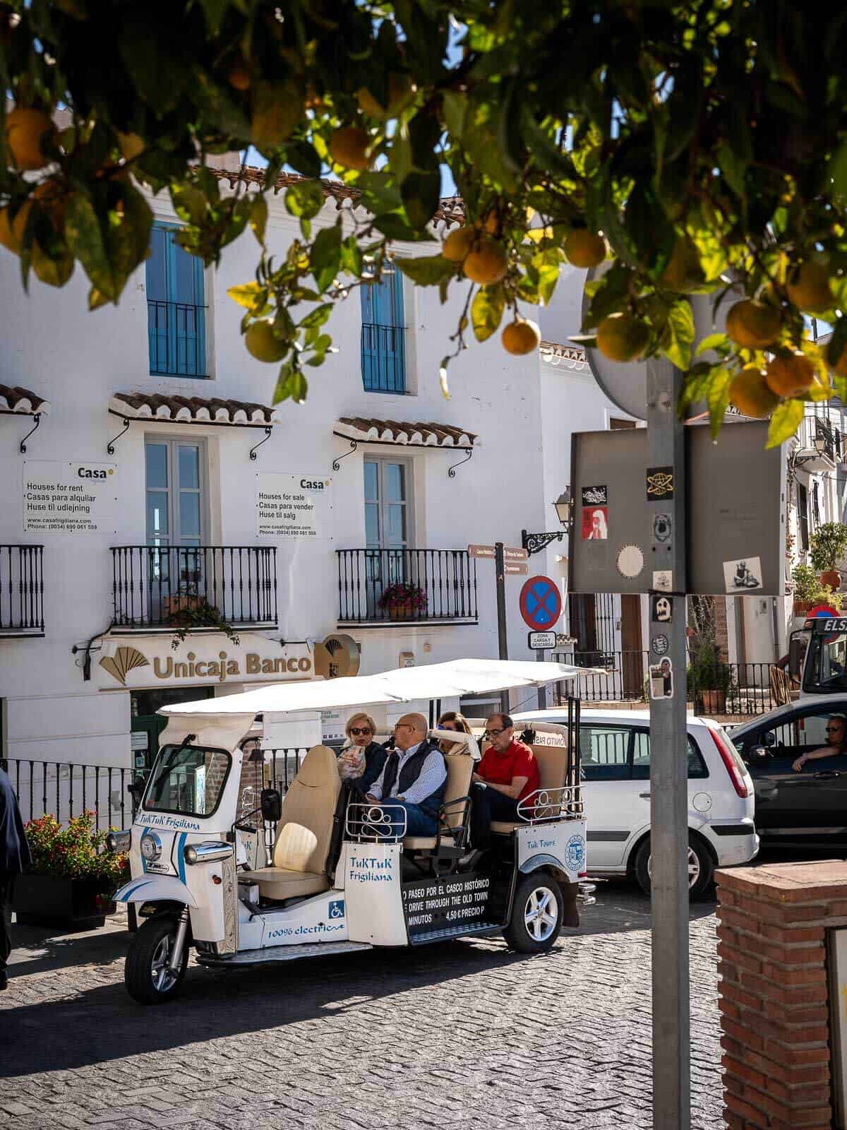 Árbol con hojas verdes en una plaza de Frigiliana, con edificios blancos al fondo y detalles arquitectónicos tradicionales.