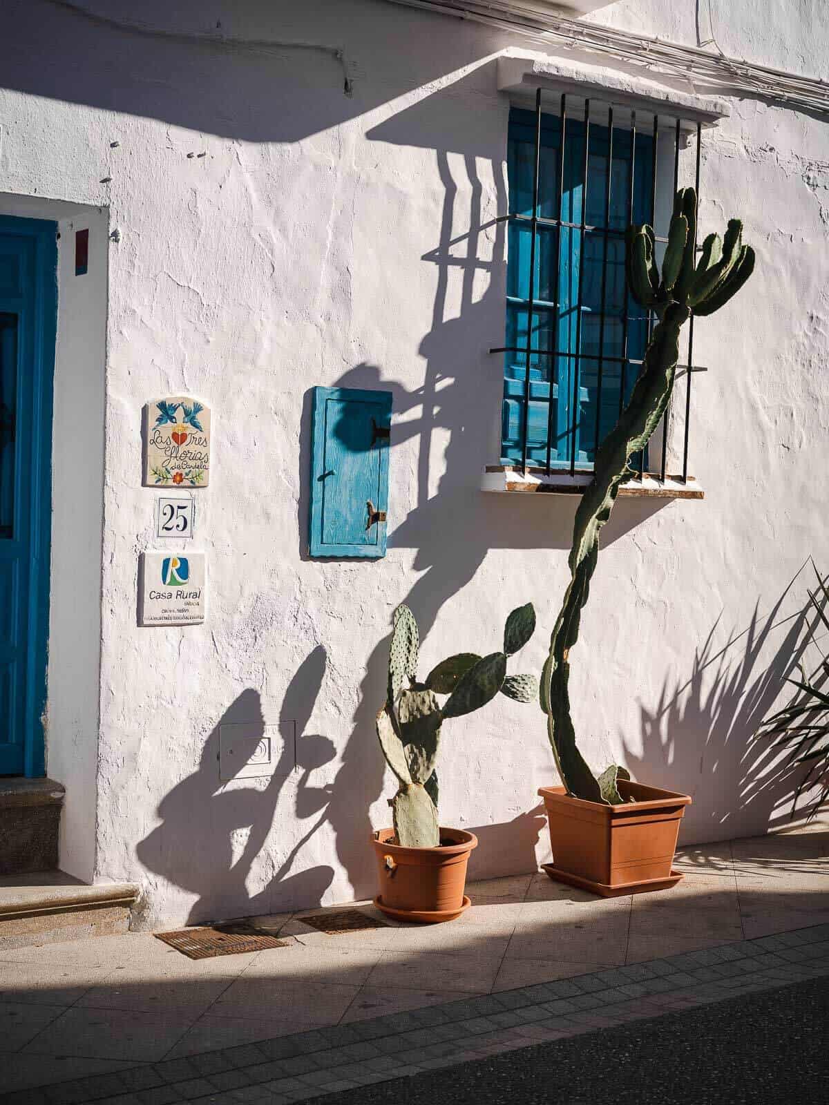 Entrada de una casa en Frigiliana adornada con macetas de plantas y cactus, con una fachada encalada y detalles azules.