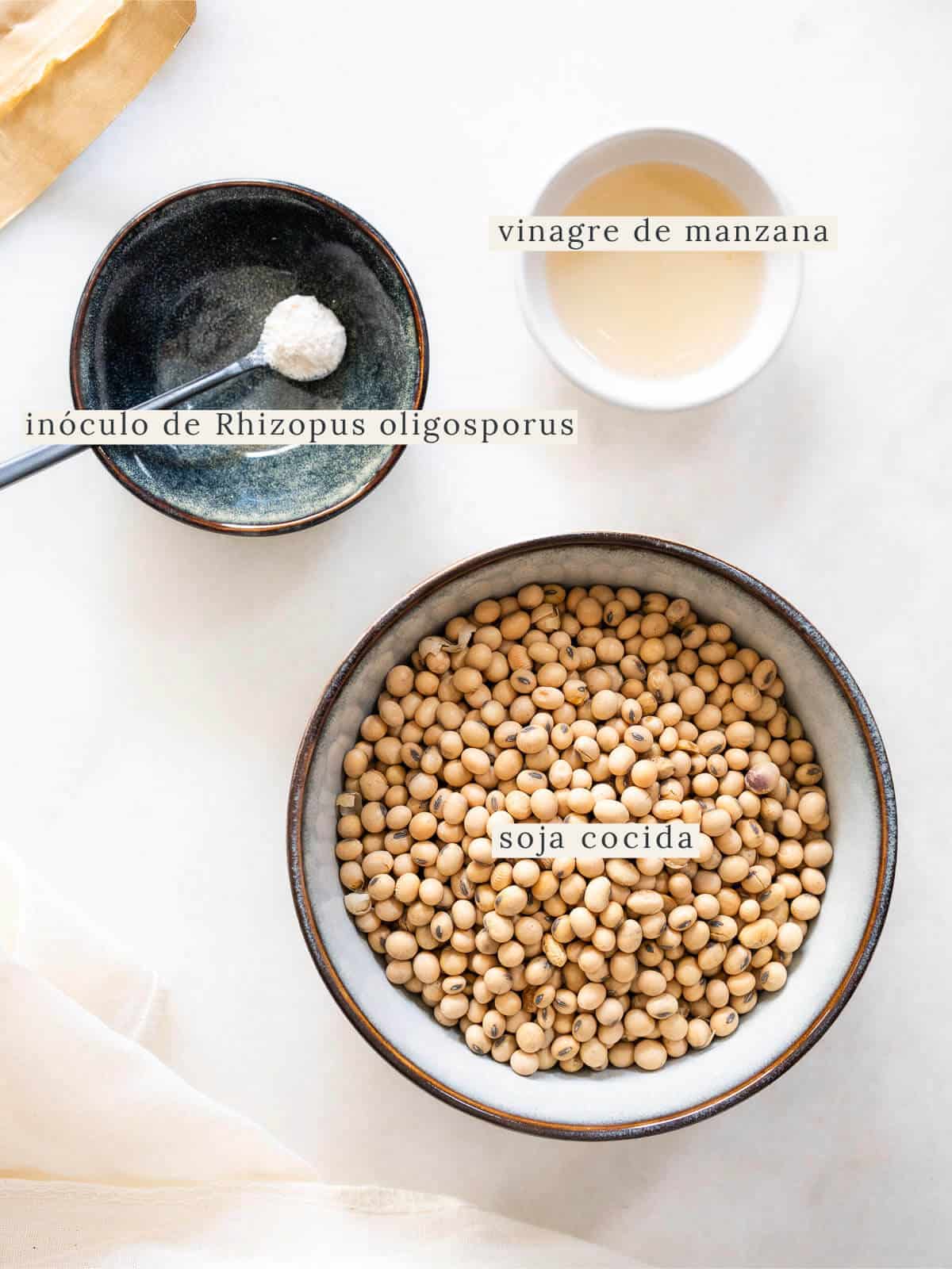 Bol con soja cocida, taza con vinagre de manzana e inóculo de Rhizopus oligosporus sobre fondo blanco para preparar tempeh fermentado casero.