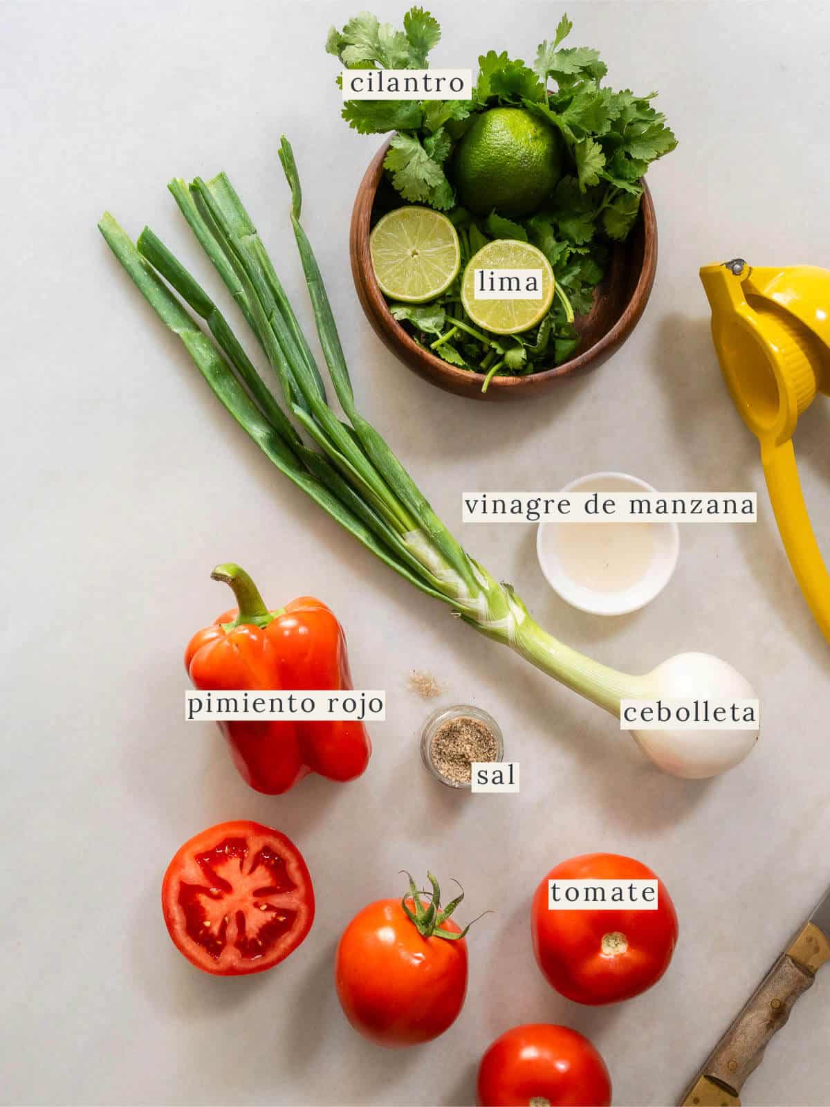 Ingredientes frescos del pico de gallo en procesador: tomates, pimiento rojo, cebolleta y cilantro listos para triturar.
