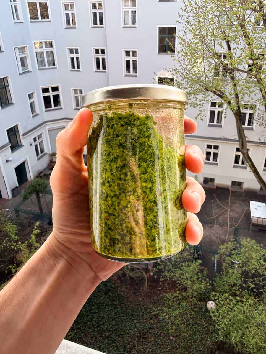 frasco de pesto de ajo silvestre casero listo para servir